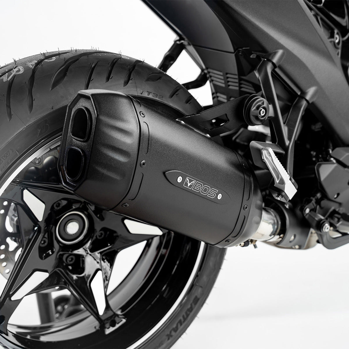 Escape BOS DesertFox Double D BlackCoated para BMW R 1300 R – vista trasera